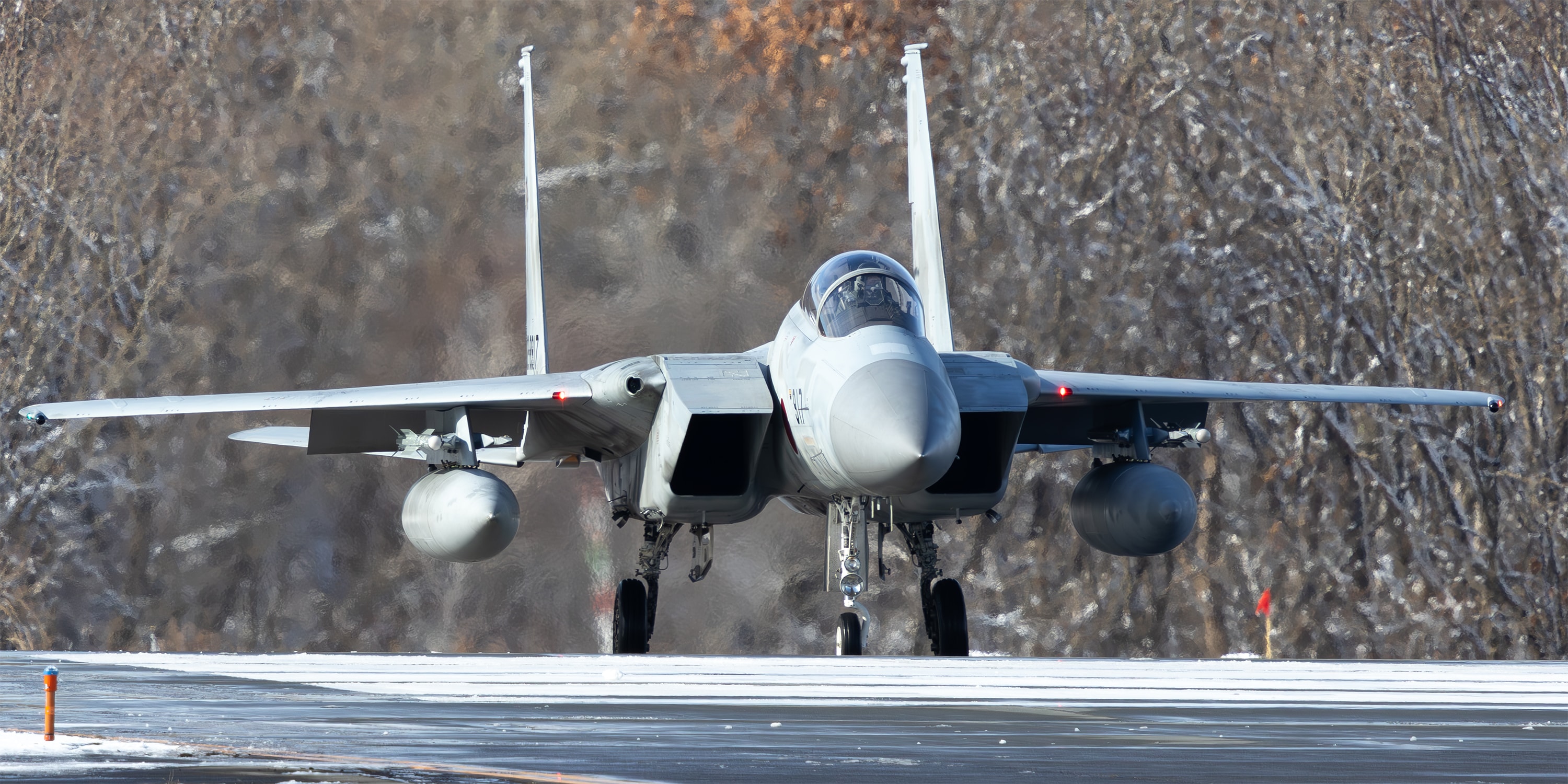 Japan Air Self Defense Force