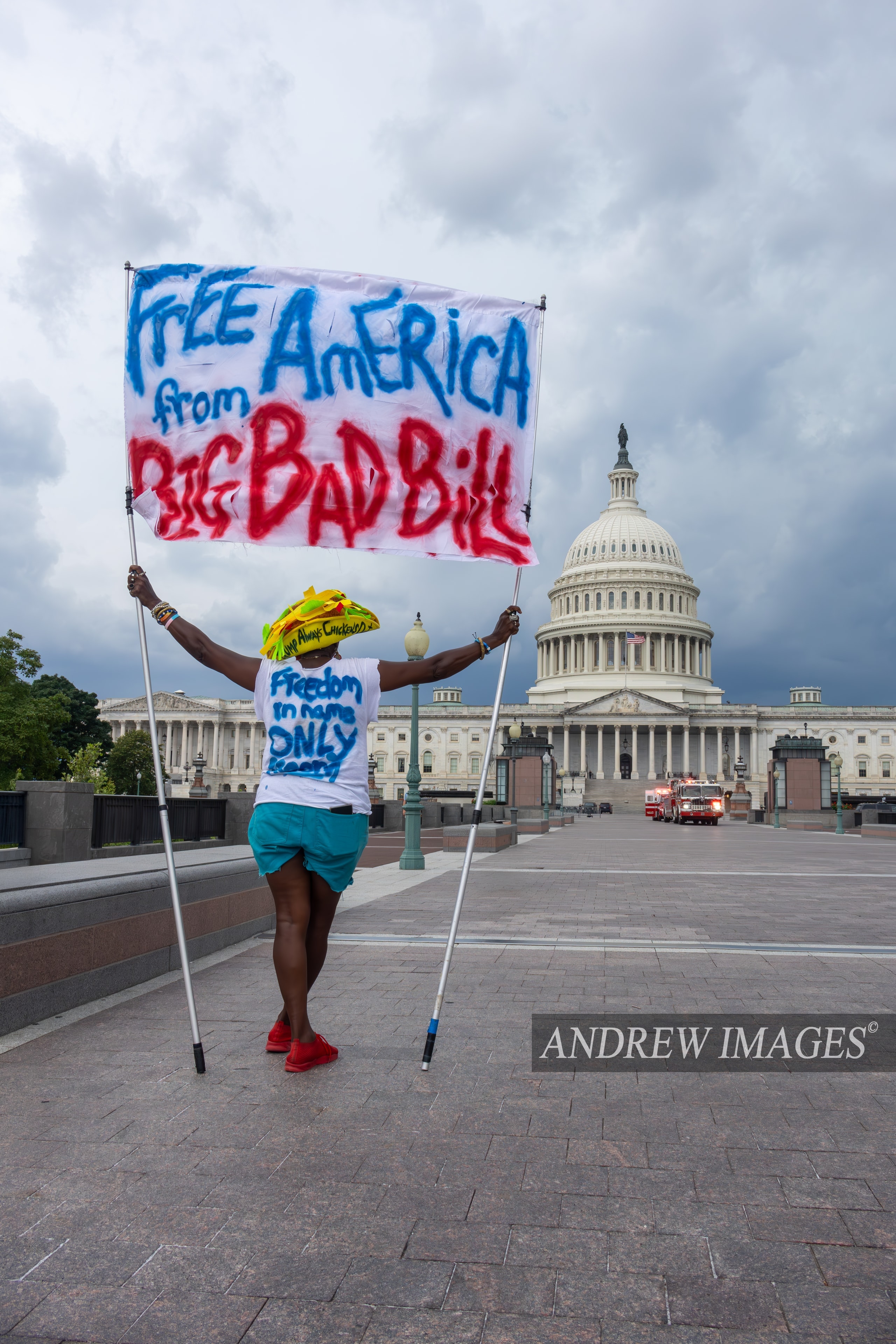 Capitol Protest