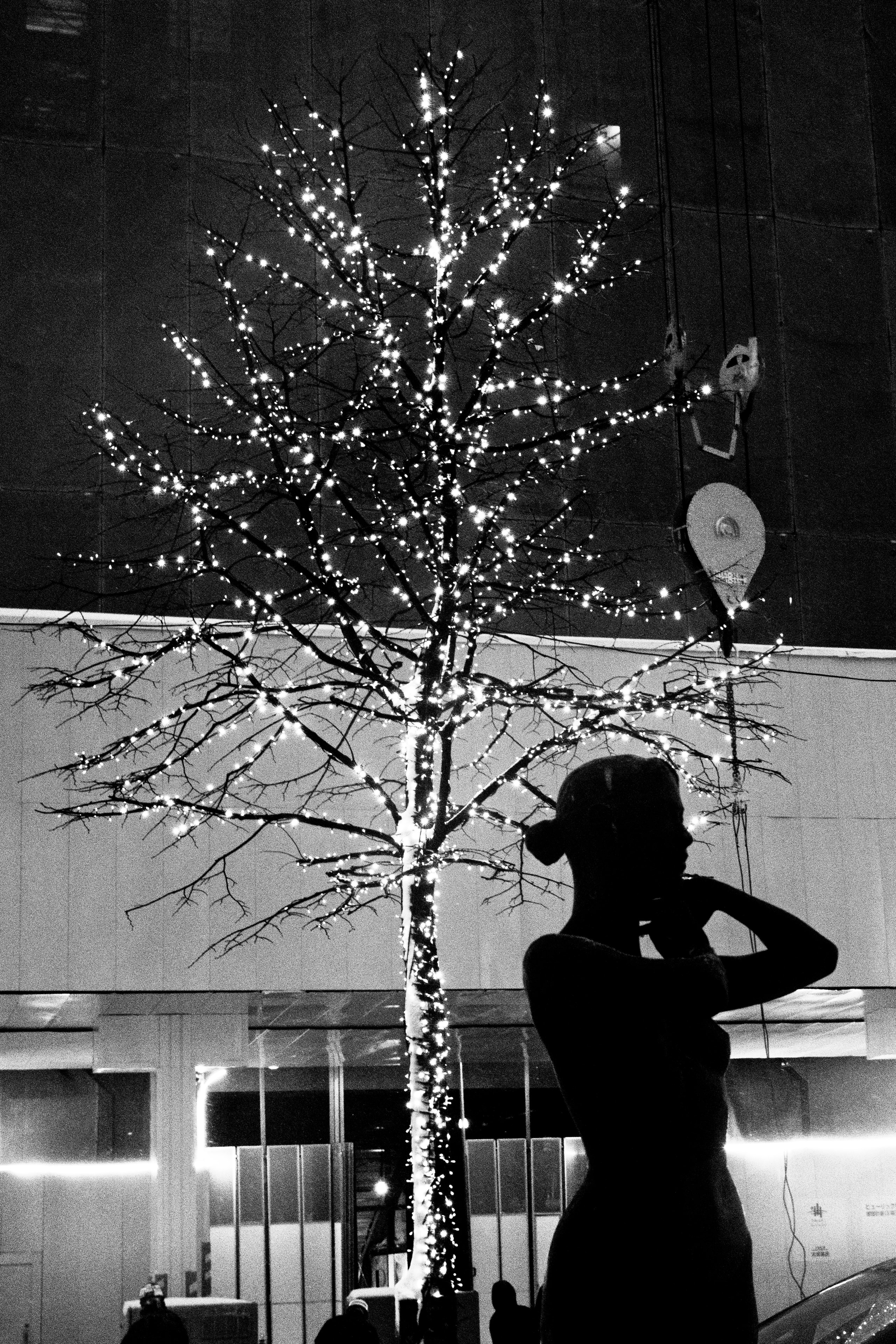 Light Tree