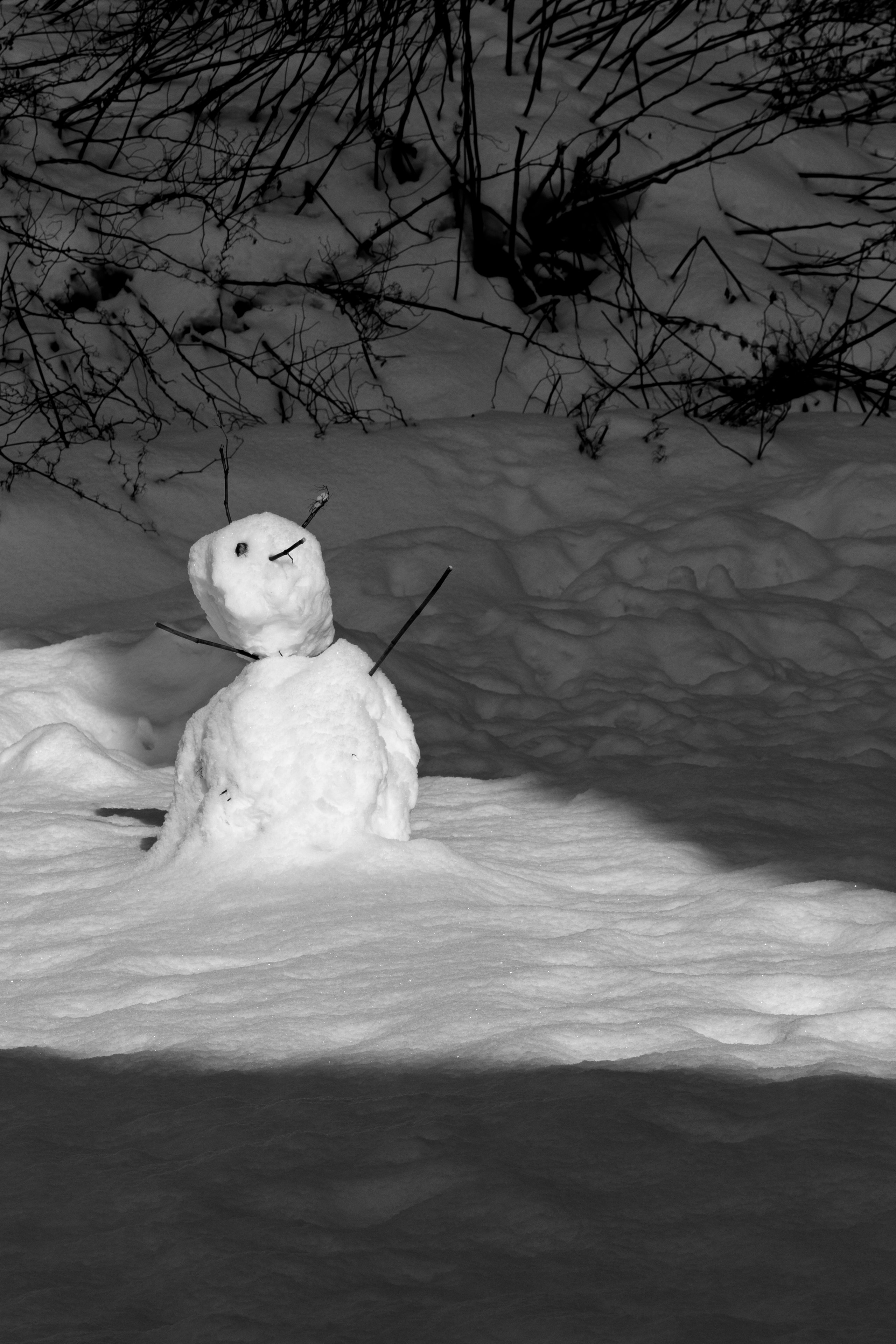 Snowman